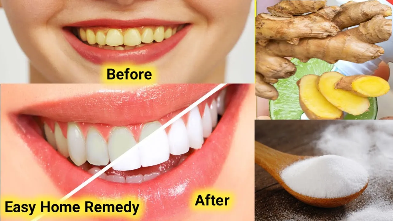 29709 activated charcoal