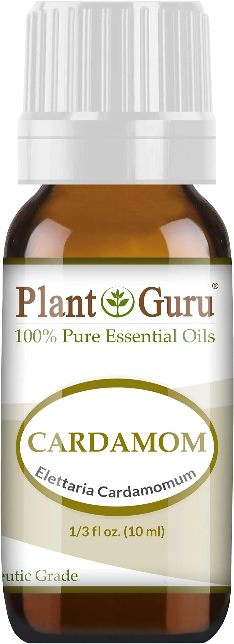 29733 skin elasticity