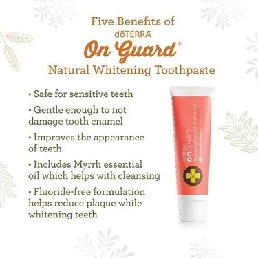 29798 onguard fresh breath