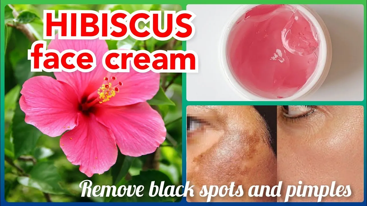 30002 calendula benefits