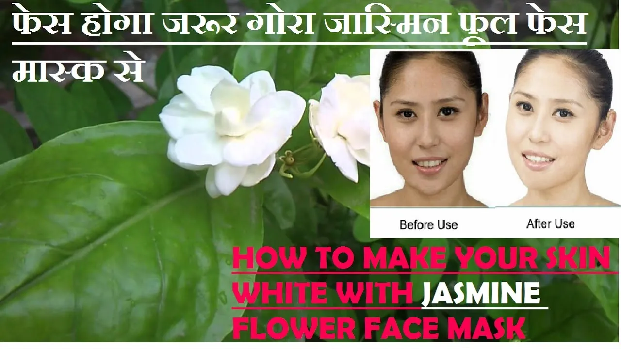 30002 hibiscus flower skin